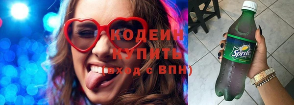 прущие грибы Краснослободск
