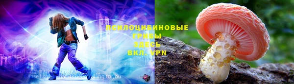 прущие грибы Краснослободск