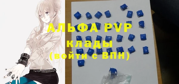 прущие грибы Краснослободск