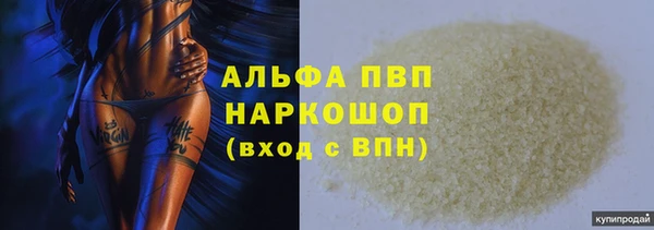 прущие грибы Краснослободск