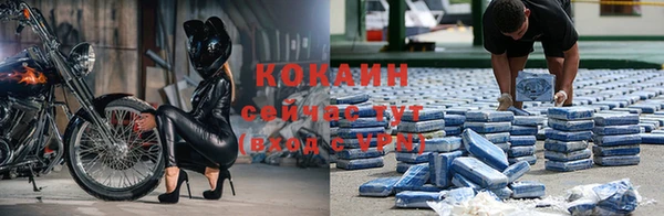 прущие грибы Краснослободск