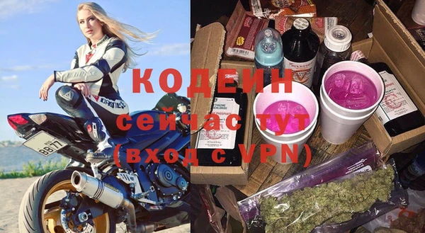 прущие грибы Краснослободск