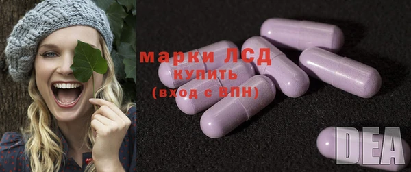 ECSTASY Кукмор