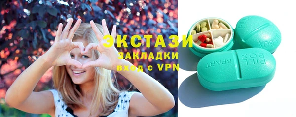 прущие грибы Краснослободск