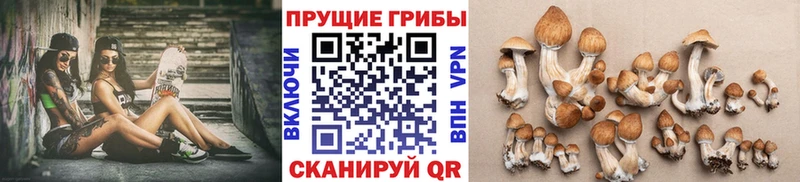 OMG как войти  Ленинск-Кузнецкий  Псилоцибиновые грибы ЛСД 