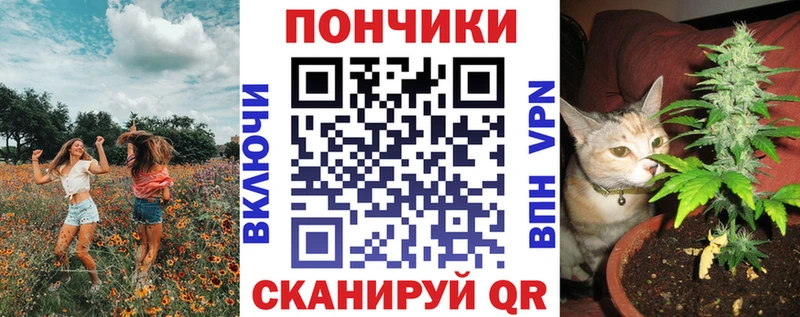 наркота  Ленинск-Кузнецкий  Каннабис Amnesia 